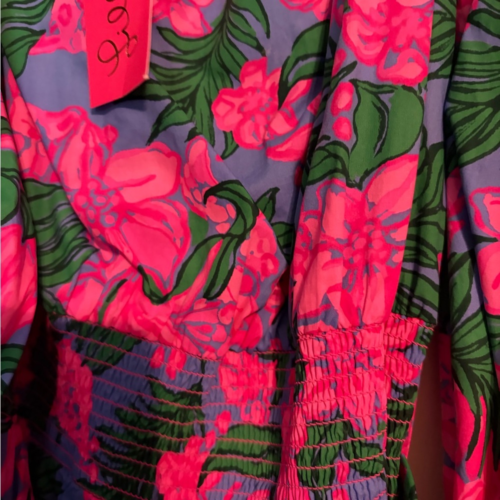 NWT Lilly Pulitzer Shawnlee Dress Safari sunset size L - Picture 6 of 7